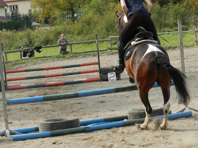 Babie Lato 2016